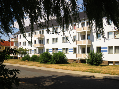 Wohnung zur Miete 385 € 3 Zimmer 56,2 m² 1. Geschoss frei ab 16.06.2025 Humboldtstraße 21 Bitterfeld Bitterfeld-Wolfen 06749