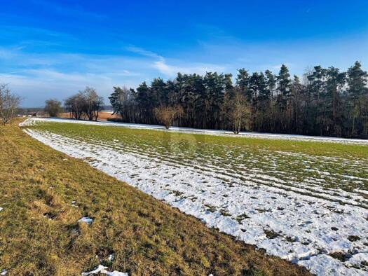 Land-/Forstwirtschaft zum Kauf 59.000 € 8.830 m² Grundstück Bruck Bruck in der Oberpfalz 92436