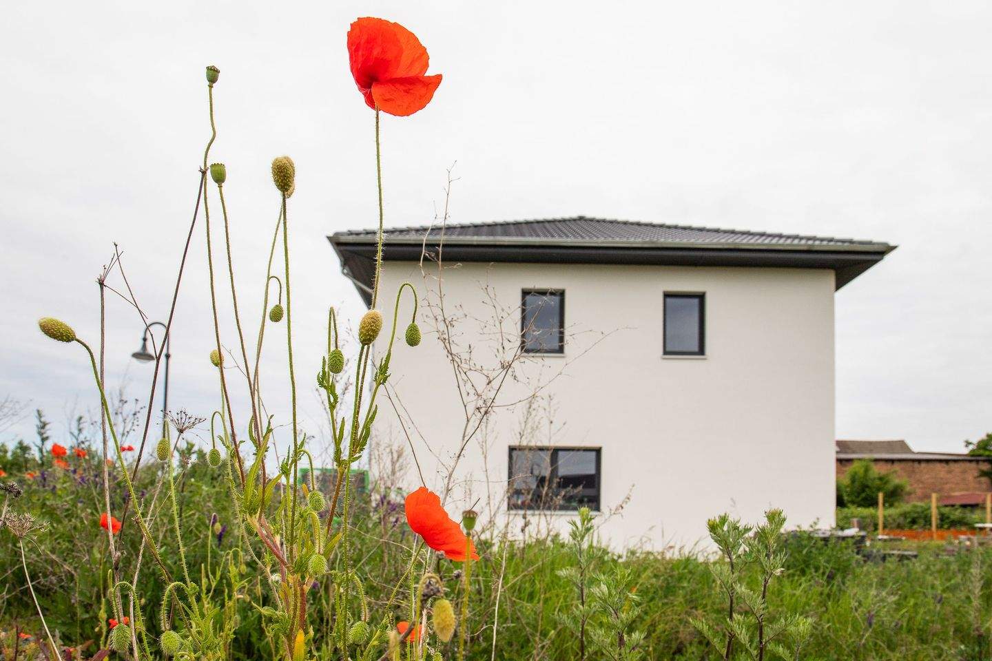 Einfamilienhaus zum Kauf - Erstbezug - Ansicht 5