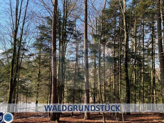 Grundstück zum Kauf 12.000 € 1.045 m² Grundstück Prechhausen Auerbach 94530