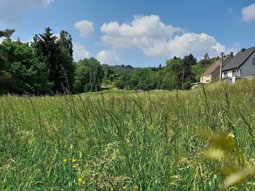 Grundstück zum Kauf provisionsfrei 865 m² Grundstück Crossen Crossen an der Elster 07613