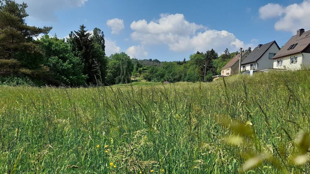 Grundstück zum Kauf provisionsfrei 865 m² Grundstück Crossen Crossen an der Elster 07613