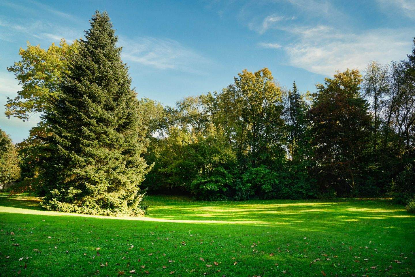 Immobilie in Petersdorf - TRAUMHAFTES GRUNDSTÜCK MIT UNTERNEHMERVILLA & Vorbescheid für zwei weitere Einfamilienhäuser - Bild 3