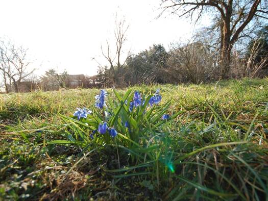 Grundstück zum Kauf 75.000 € 850 m² Grundstück Baugenehmigung vorhanden frei ab sofort Groß Leuthen Märkische Heide 15913