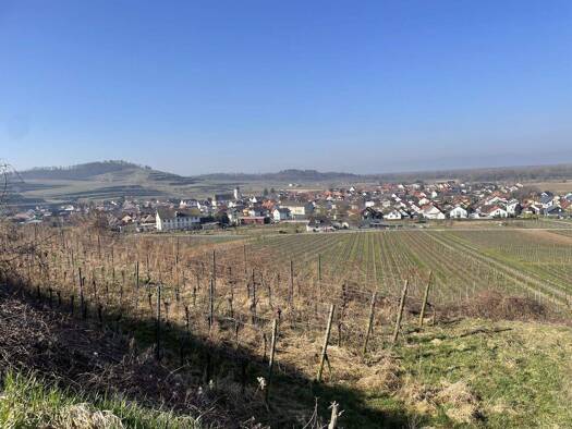 Land-/Forstwirtschaft zum Kauf 11.700 € 2.881 m² Grundstück Jechtingen 79361