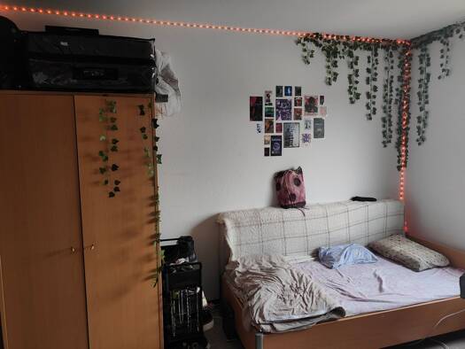 Wohnung zur Miete 390 € 1 Zimmer 22 m² frei ab sofort Bruchwiesenanlage 4 Dudweiler Saarbrücken 66125