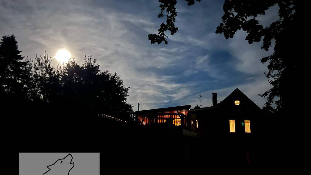 Immobilie in Schiffdorf - ZFH mit Ranch in Meeresnähe: Pferdestall mit 3 Boxen und 1 ha Weideland mit Offenstall am Hof - Bild 3