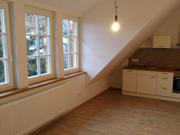 Wohnung zur Miete 489 € 1 Zimmer 45 m² 1. Geschoss frei ab sofort Alfhausen Alfhausen 49594