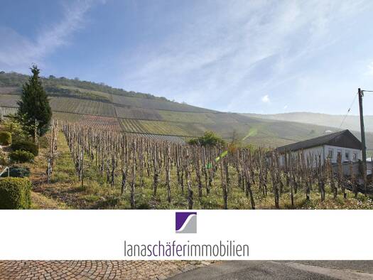Grundstück zum Kauf 120.000 € 1.290 m² Grundstück Graach Graach an der Mosel 54470