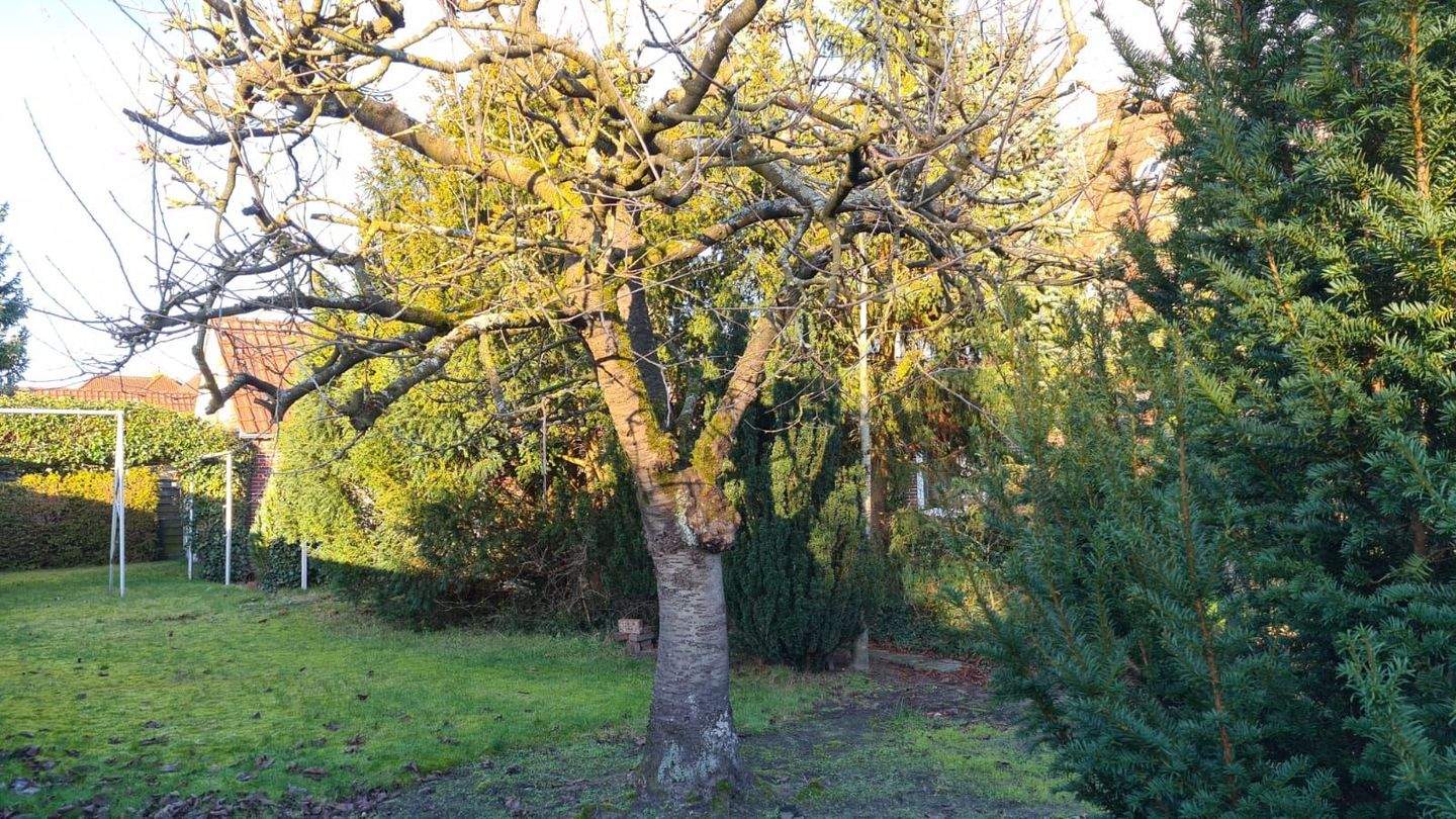 Einfamilienhaus zum Kauf - Ansicht 6
