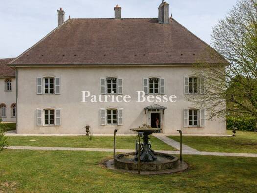 Einfamilienhaus zum Kauf 560.000 € 20 Zimmer 572 m² 9.048 m² Grundstück Faubourg de Chalon Dole 39100