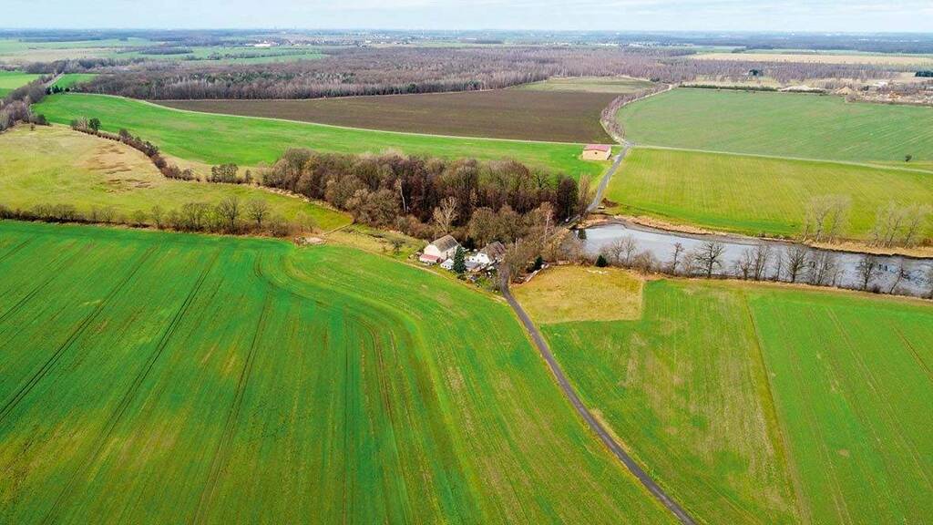 Land-/Forstwirtschaft zur Versteigerung 5.000 € 8.057 m² Grundstück Otterwisch 04668
