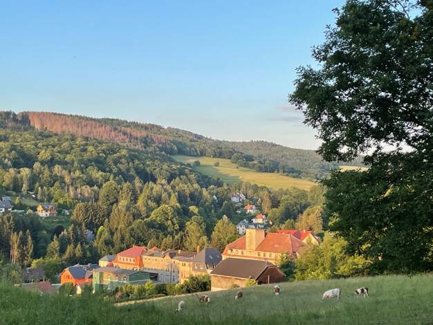 Hotel zum Kauf 240.000 € 1.181 m² Gastrofläche 3.450 m² Grundstück Sebnitz Sebnitz 01855
