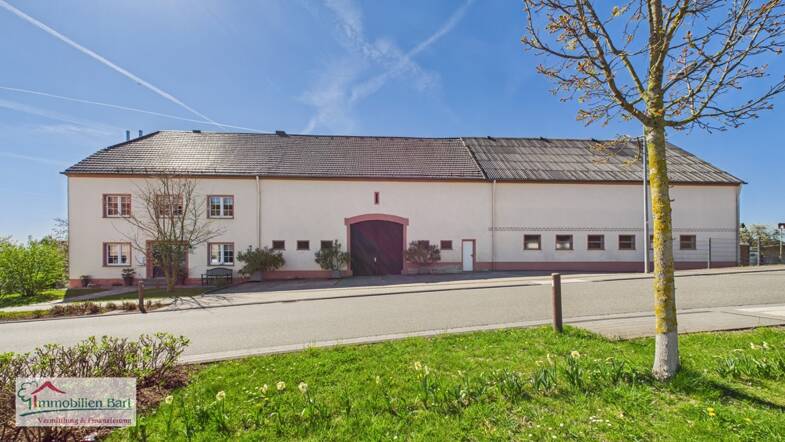 Bauernhaus zum Kauf 780.000 € 6 Zimmer 188 m² 4.000 m² Grundstück Freudenburg Freudenburg 54450
