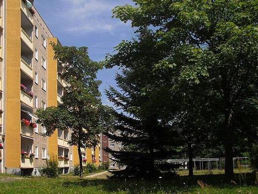 Wohnung zur Miete 245 € 2 Zimmer 50,5 m² 4. Geschoss frei ab sofort Dr.-Eichmeyer-Straße 3 Großenhain Großenhain 01558