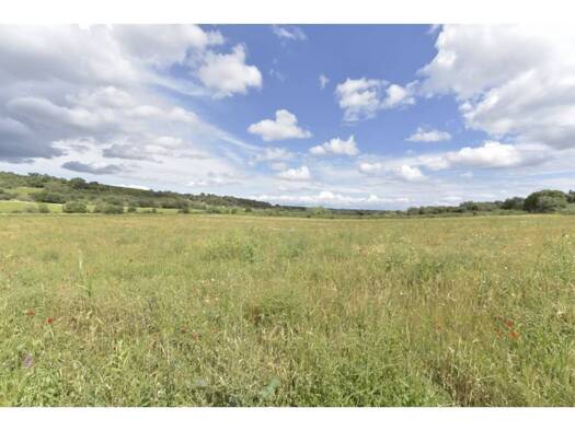 Acker-/Waldstück zum Kauf 109.000 € Ariany 07529