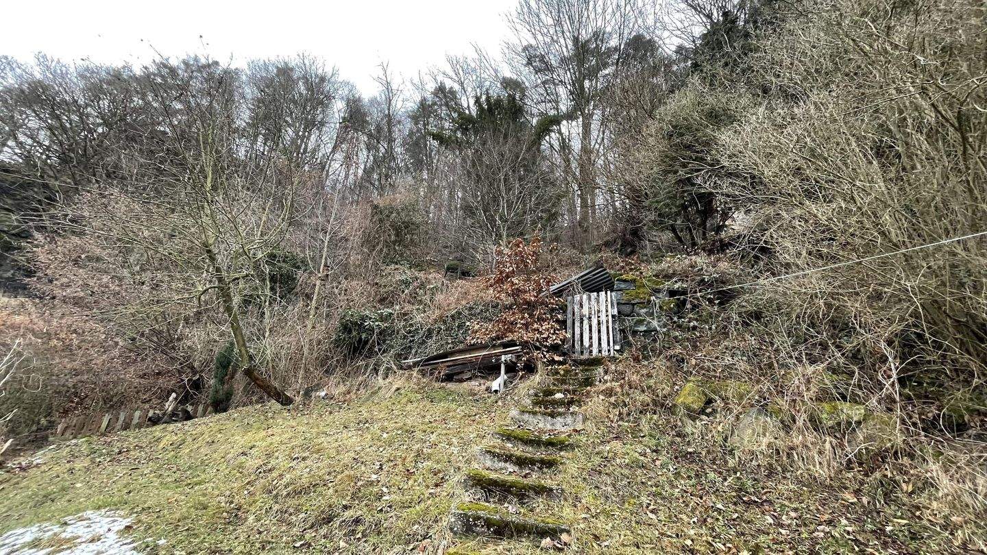 Immobilie in Bad Schandau - Neues Zuhause mit Blick auf die Elbe - Bild 4