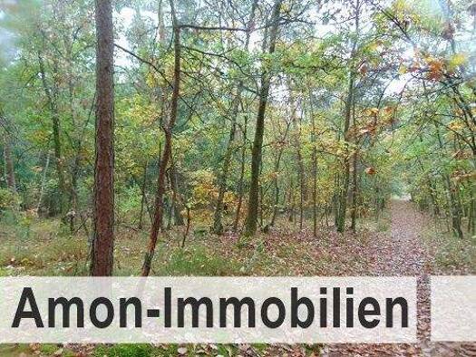 Forstwirtschaft zum Kauf 99.000 € 15.660 m² Grundstück Bokel Sprakensehl 29365