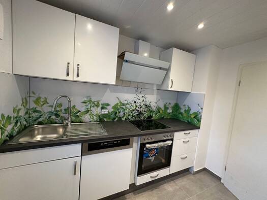 Wohnung zur Miete 640 € 4 Zimmer 69 m² frei ab 01.04.2026 Dahlbruch Hilchenbach 57271