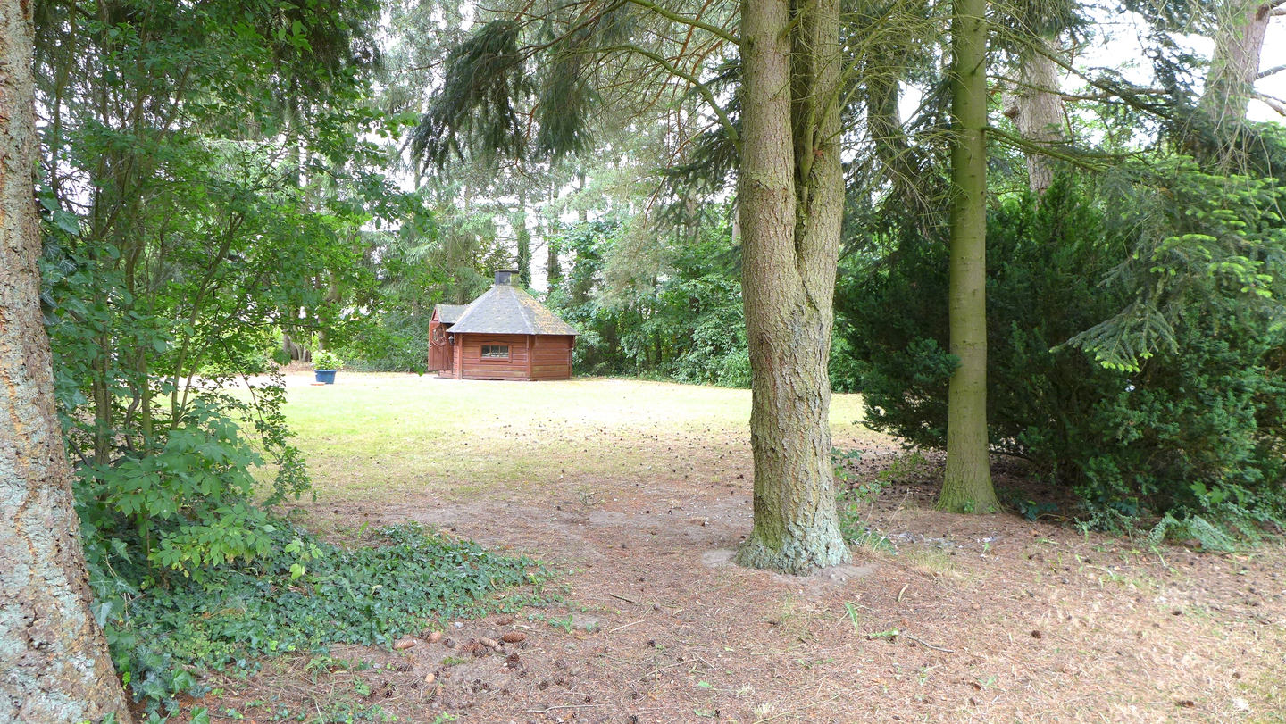 Immobilie in Rohlstorf - EFH/Nebengebäude 1950-2026, saniert, renoviert, überplant, 100 m² Wfl + Nfl.,4173 m² Grund, avi. Bauland, Raum und Fläche für viele Lebensziele - Bild 4