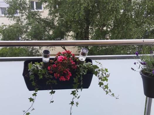 Wohnung zur Miete 550 € 3 Zimmer 62 m² Geschoss 2/3 frei ab 01.02.2026 Steffensweg Bremen 28217