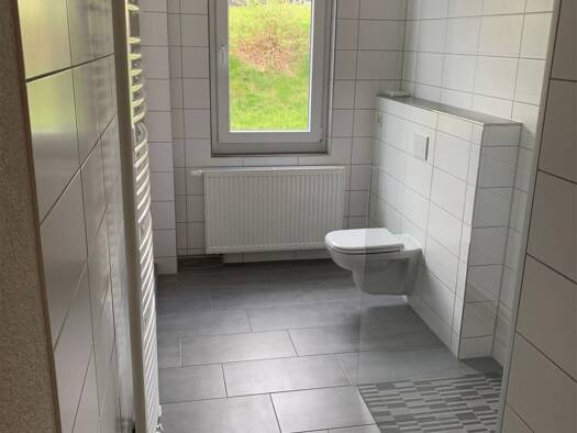 Wohnung zur Miete 406 € 2 Zimmer 70,5 m² EG frei ab 01.09.2026 Walter-Richter-Str. 4 Altenberg Altenberg , Erzgeb 01773