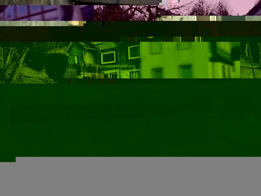 Haus zum Kauf provisionsfrei 63.000 € 116 m² 222 m² Grundstück Feudingen Bad Laasphe 57334