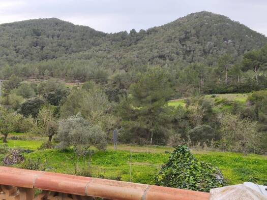 Bauernhaus zum Kauf 1.600.000 € 2 Zimmer 148 m² 1.125 m² Grundstück Sant Josep de sa Talaia 07817