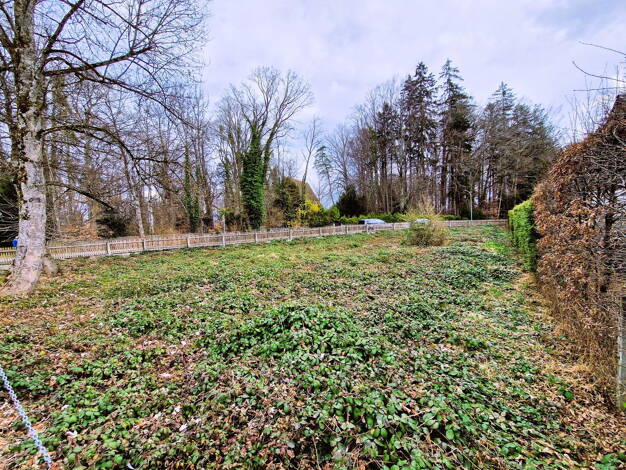 Grundstück zum Kauf provisionsfrei 776.000 € 746 m² Grundstück Seeshaupter Straße 7 Bernried Bernried 82347