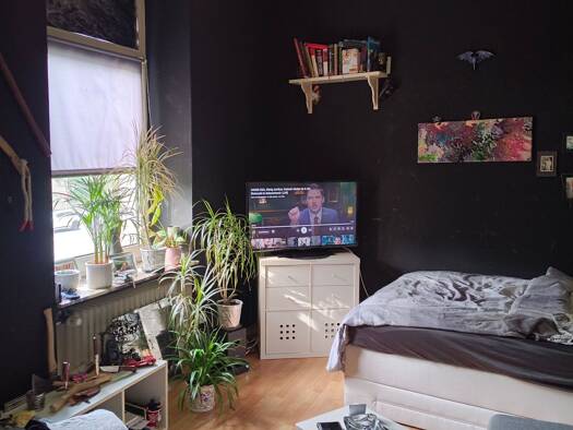Studio zur Miete 390 € 1 Zimmer 25,4 m² Geschoss 3/4 frei ab 01.01.2027 Innenstadt Osnabrück 49074