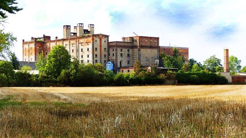 Grundstück zum Kauf 350.000 € 18.000 m² Grundstück Etgersleben Börde-Hakel 39448