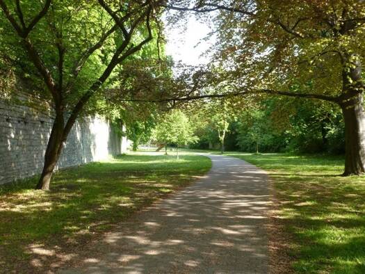 Wohnung zum Kauf 169.900 € 3 Zimmer 67,6 m² 1. Geschoss Soest 59494