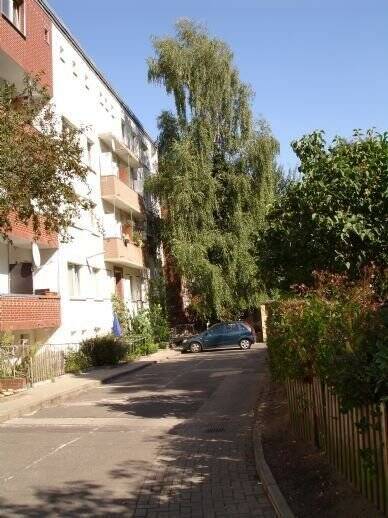 Wohnung zur Miete