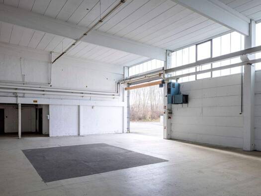 Lagerhalle zur Miete 1.020 m² Lagerfläche teilbar ab 1.020 m² Schwabing-Freimann München 80807