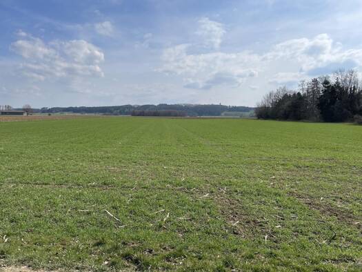Land-/Forstwirtschaft zum Kauf 218.040 € 18.170 m² Grundstück Rieden Rieden 87668