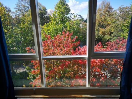 Wohnung zur Miete 650 € 1 Zimmer 25,4 m² Geschoss 1/3 Forstenrieder Allee 63 Thalk.Obersendl.-Forsten-Fürstenr.-Solln München 81476