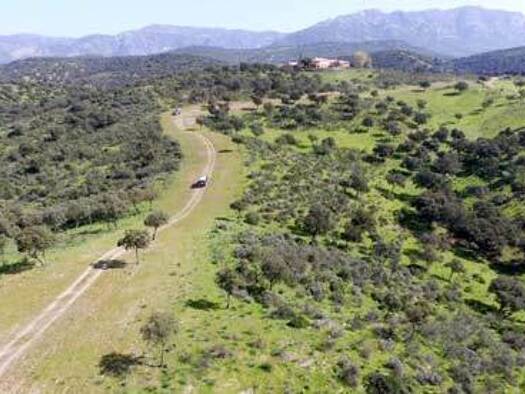 Landhaus zum Kauf provisionsfrei 7.000.000 € 10 Zimmer 1.500 m² 8.520.000 m² Grundstück Andujar 23740