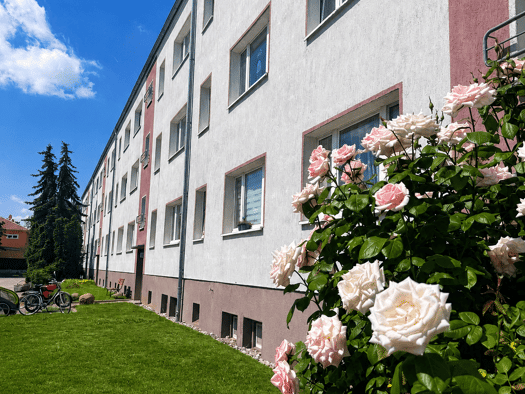 Wohnung zur Miete 330 € 3 Zimmer 60 m² 1. Geschoss frei ab 15.07.2026 Nordring 9 Beilrode 04886