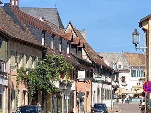 Studio zur Miete 400 € 1 Zimmer 14 m² 1. Geschoss frei ab sofort Deidesheim 67146