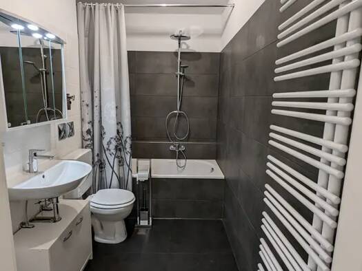 Wohnung zur Miete 869 € 1 Zimmer 62 m² Geschoss 5/14 frei ab sofort Neuhofen 67141