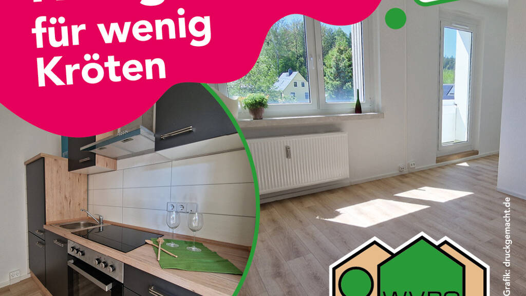 Studio zur Miete 225 € 1 Zimmer 34 m² frei ab sofort Fritz-Heckert-Straße 52 Flöha 09557