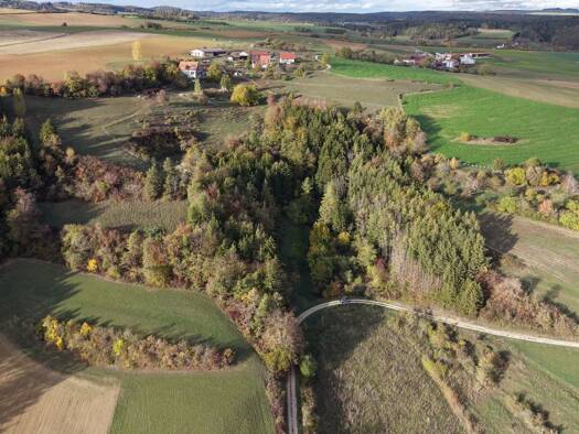 Grundstück zum Kauf 31.000 € 9.011 m² Grundstück Zimmerholz Engen 78234