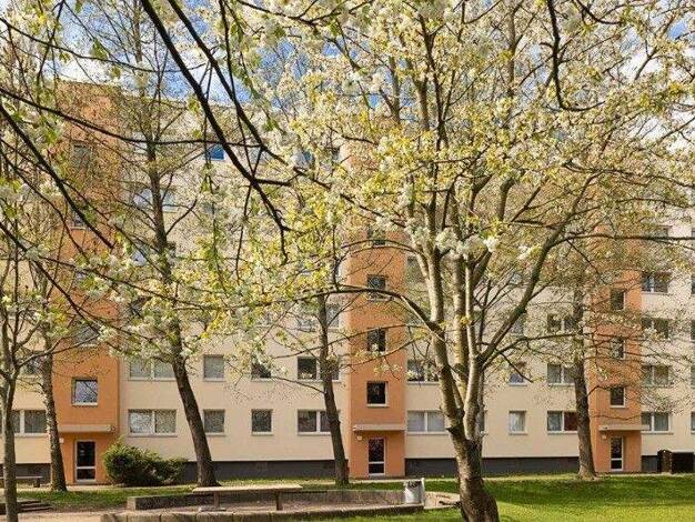 Wohnung zur Miete nur mit Wohnberechtigungsschein 489 € 3 Zimmer 64,3 m² frei ab 01.04.2026 Hagebuttenweg 2 Gorbitz-Nord/Neu-Omsewitz Dresden 01169