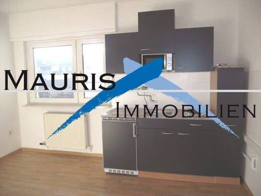 Wohnung zur Miete 450 € 1 Zimmer 44 m² 2. Geschoss Ziegelgasse Sandhofen Mannheim 68307