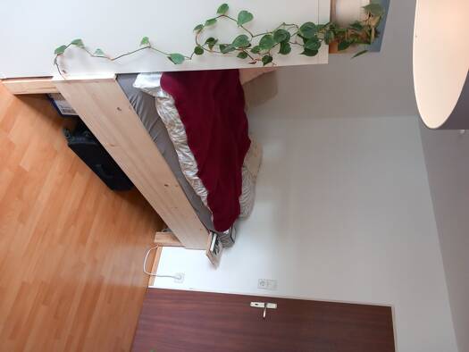 Wohnung zur Miete 449 € 1 Zimmer 24 m² 1. Geschoss frei ab 01.01.2026 Immenstaad Immenstaad am Bodensee 88090