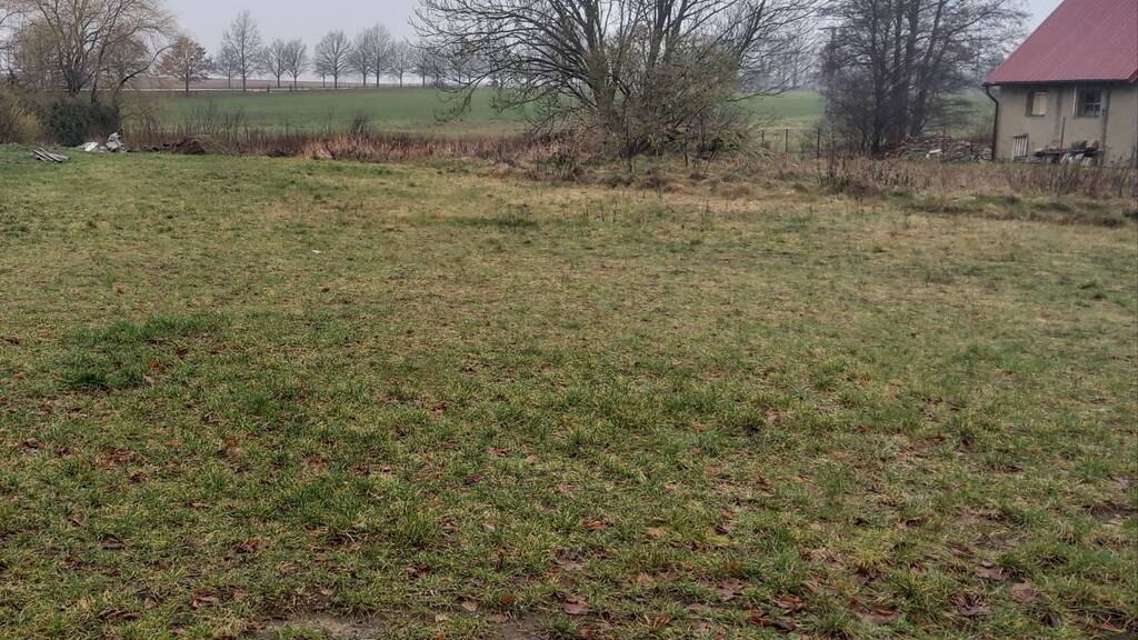 Grundstück zum Kauf 38.900 € 3.150 m² Grundstück Radepohl 19089