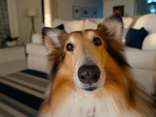 Haus zum Kauf 411.745 € 3 Zimmer 152 m² 519 m² Grundstück Gronau 48599