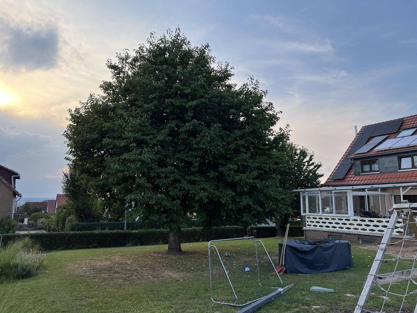 Mehrfamilienhaus zum Kauf - Mehr