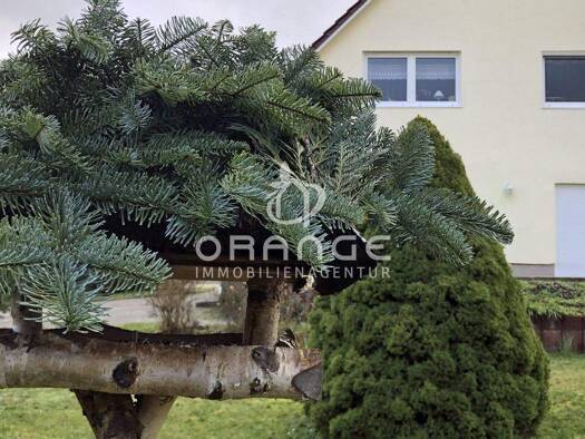 Mehrfamilienhaus zum Kauf provisionsfrei 380.000 € 9 Zimmer 245 m² 1.251 m² Grundstück Parchim 19370