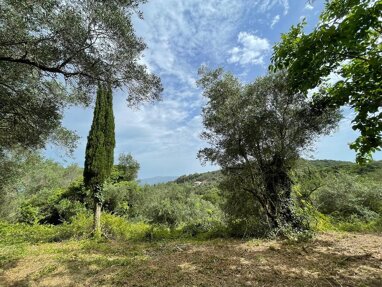 Land-/Forstwirtschaft zum Kauf 390.000 € 5.020 m² Grundstück Korfu